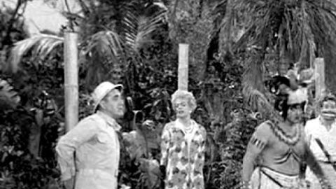 The Millionaire and his wife * - Gilligan's Island - Season 1