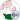 Peter Griffin - Family Guy 