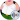 Peter Griffin (BeefFishStick) 