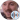 Forsen 