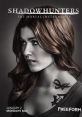 Shadowhunters: The Mortal Instruments - Season 2 Shadowhunters: The Mortal Instruments is a television show based on