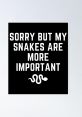 Sorry snakes The first that comes to mind when thinking about "Sorry snakes" is the hissing they make when feeling