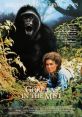 Gorillas in the Mist: The Story of Dian Fossey (1988) Soundboard