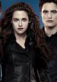 The Twilight Saga: Breaking Dawn The Twilight Saga: Breaking Dawn is the fourth installment in the popular fantasy romance