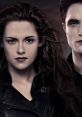 The Twilight Saga Breaking Dawn The Twilight Saga: Breaking Dawn is the fourth installment in the highly popular Twilight