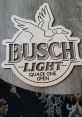 BUT HERE COMES BUSCH LIGHT!!! The echoes of laughter and chatter filled the air as friends and family gathered around the