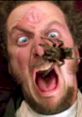 Man screaming in terror as a spider crawls on his face, capturing a dramatic reaction to unexpected horror.