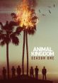 Animal Kingdom (2016) - Season 1 "Animal Kingdom" is a gripping television drama series that first premiered in 2016 and