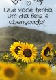 Bom Dia Seus Atribulados The of "Bom Dia Seus Atribulados" fill the air with a sense of energy and excitement. As the words