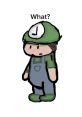 Luigi Yippee The of "Luigi Yippee" are nothing short of iconic in the world of video games. These two words have become