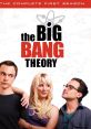 The Big Bang Theory - Season 1 The Big Bang Theory premiered in 2007 and quickly became a smash-hit television show that