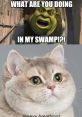 Shrek "What are you doing in my swamp?!" The of Shrek's deep voice echoing through the swamp is unmistakable. "What are you