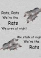 Rats, rats, we're the rats Rats, rats, we're the rats. These words echo through the dark alleyways and sewers of the city, a