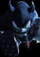 The Werehog (Sonic Unleashed) The Werehog from Sonic Unleashed