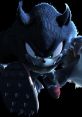The Werehog (Sonic Unleashed)