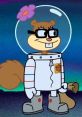 Sandy Cheeks (SpongeBobuarePants) Type your text and hear it in the voice of Sandy Cheeks (SpongeBobuarePants) by