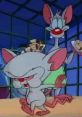 Pinky and the Brain - Season 1 Pinky and the Brain was a beloved animated TV show that aired from 1995 to 1998 and captivated