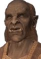 Mogrul, the orc character from The Elder Scrolls V: Skyrim, showcasing a fierce expression and detailed features.