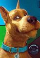 Scooby (scooby doo films) Why not