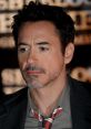 Robert Downey Jr Type your text to hear it in the voice of Robert Downey Jr.