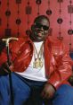 The Notorious B.I.G. Type your text to hear it in the voice of The Notorious B.I.G..