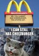 Hare Kitty you can have cheese burger (voice male) (MEME) Type your text to hear it in the voice of Hare Kitty you can