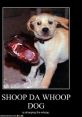 Shoop Da Whoop-IMMA FIRIN MAH LAZOR Type your text to hear it in the voice of Shoop Da Whoop/IMMA FIRIN MAH LAZOR.