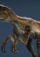 Realistic depiction of a Velociraptor showcasing its intricate details, sharp claws, and distinctive features.