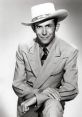 Hank Williams Sr Type your text to hear it in the voice of Hank Williams Sr.