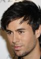 Enrique Iglesias Type your text to hear it in the voice of Enrique Iglesias.