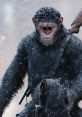 War for the Planet of the Apes | Final Trailer "War for the Planet of the Apes" is the final installment in the critically