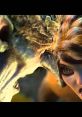 Strange Magic Trailer Strange Magic is an enchanting animated film that promises to take viewers on a whimsical and