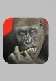 Flying Gorilla Type your text to hear it in the voice of Flying Gorilla.