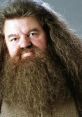 Hagrid (italian dub) (Harry Potter) (voice actor Francesco Pannofino) Type your text to hear it in the voice of Hagrid