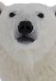 Close-up of a polar bear's face showcasing its distinctive white fur and black nose, highlighting its majestic features.