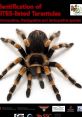 Tarantula (AJPcrosser) Type your text to hear it in the voice of Tarantula (AJPcrosser).