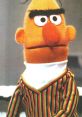 Bert From Sesame Street Type your text to hear it in the voice of Bert From Sesame Street.