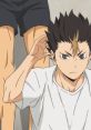 Nishinoya Yuu (Haikyuu) (JP) Type your text to hear it in the voice of Nishinoya Yuu (Haikyuu) (JP).