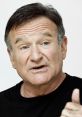 Robin Williams Type your text to hear it in the voice of Robin Williams.