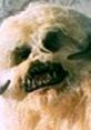 Close-up of Wampa from Star Wars Jedi Knight – Jedi Academy, showcasing its iconic features and fierce expression.