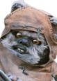 Close-up of an Ewok from Star Wars, showcasing its distinctive features and iconic hooded attire.