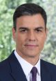 Pedro Sanchez (Spanish Politician) Type your text to hear it in the voice of Pedro Sanchez (Spanish Politician).