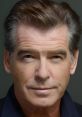 Pierce Brosnan (Narrator) Type your text to hear it in the voice of Pierce Brosnan (Narrator).