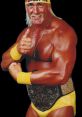 Hulk Hogan (WWE-World Wrestling Federation) Type your text to hear it in the voice of Hulk Hogan (WWE/World Wrestling