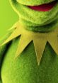 Kermit Type your text to hear it in the voice of Kermit.