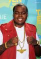 Sean Kingston Type your text to hear it in the voice of Sean Kingston.