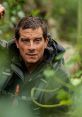 Bear Grylls (RVMPE) Type your text to hear it in the voice of Bear Grylls (RVMPE).