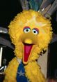 Big Bird Matt Vogel Sesamestreet Type your text to hear it in the voice of Big Bird Matt Vogel Sesamestreet 