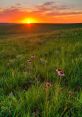 Prairie The of a windy day on the prairie create a captivating cape that transports you to the vast expanse of the