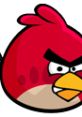 Angry Birds red character with a fierce expression, showcasing determination in the popular mobile game franchise.